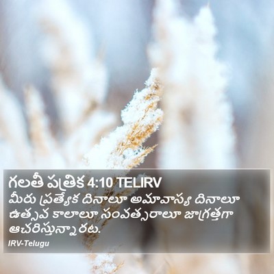 గలతీ పత్రిక 4:10 TELIRV Bible Verse Image