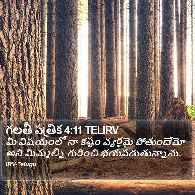 గలతీ పత్రిక 4:11 TELIRV Bible Verse Image
