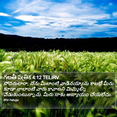 గలతీ పత్రిక 4:12 TELIRV Bible Verse Image