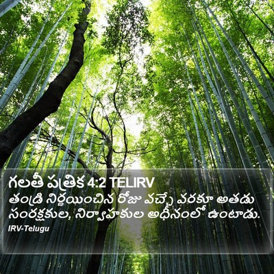 గలతీ పత్రిక 4:2 TELIRV Bible Verse Image