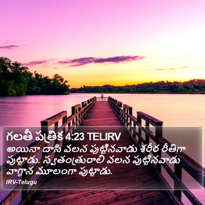 గలతీ పత్రిక 4:23 TELIRV Bible Verse Image