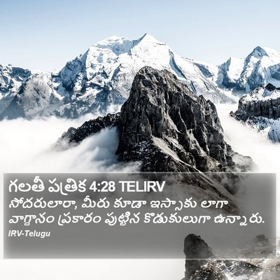 గలతీ పత్రిక 4:28 TELIRV Bible Verse Image