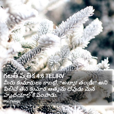 గలతీ పత్రిక 4:6 TELIRV Bible Verse Image