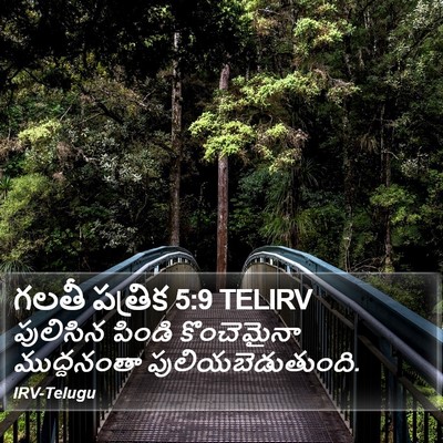 గలతీ పత్రిక 5:9 TELIRV Bible Verse Image