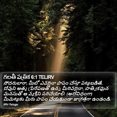 గలతీ పత్రిక 6:1 TELIRV Bible Verse Image