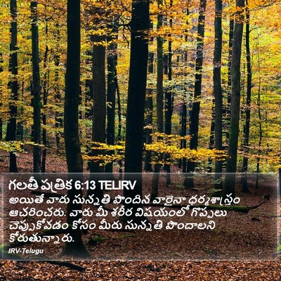 గలతీ పత్రిక 6:13 TELIRV Bible Verse Image
