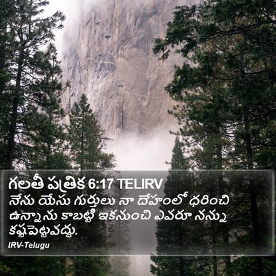 గలతీ పత్రిక 6:17 TELIRV Bible Verse Image