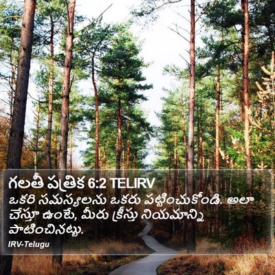 గలతీ పత్రిక 6:2 TELIRV Bible Verse Image