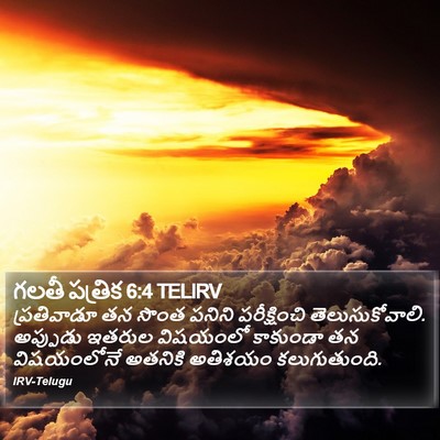 గలతీ పత్రిక 6:4 TELIRV Bible Verse Image