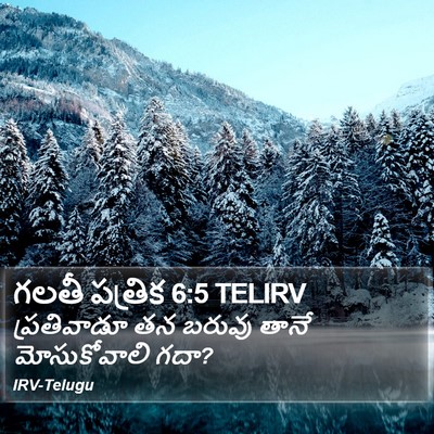 గలతీ పత్రిక 6:5 TELIRV Bible Verse Image