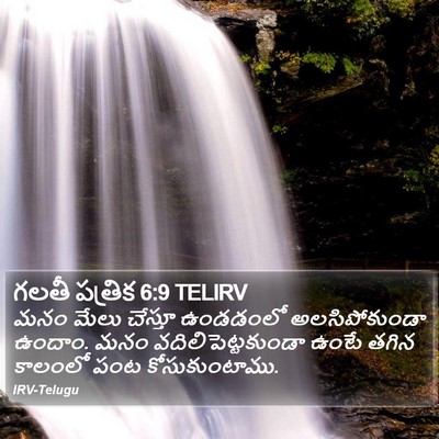గలతీ పత్రిక 6:9 TELIRV Bible Verse Image