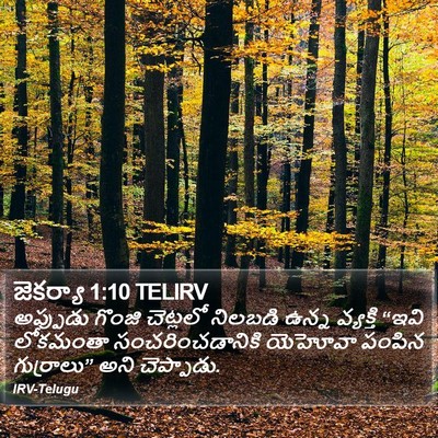 జెకర్యా 1:10 TELIRV Bible Verse Image