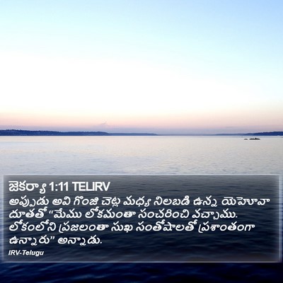 జెకర్యా 1:11 TELIRV Bible Verse Image