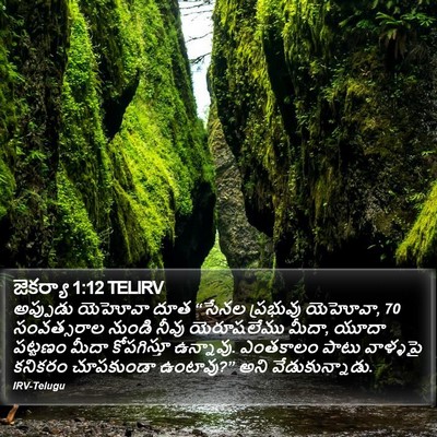 జెకర్యా 1:12 TELIRV Bible Verse Image