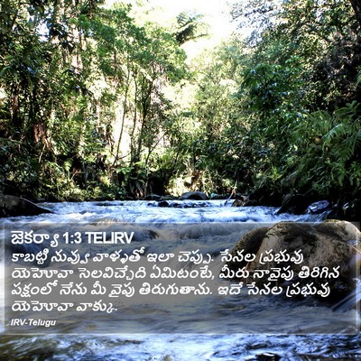 జెకర్యా 1:3 TELIRV Bible Verse Image