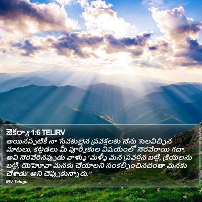 జెకర్యా 1:6 TELIRV Bible Verse Image
