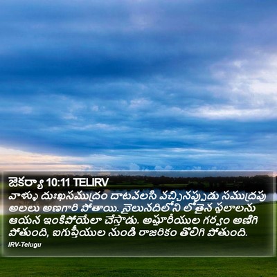 జెకర్యా 10:11 TELIRV Bible Verse Image
