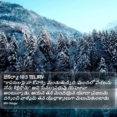 జెకర్యా 10:3 TELIRV Bible Verse Image