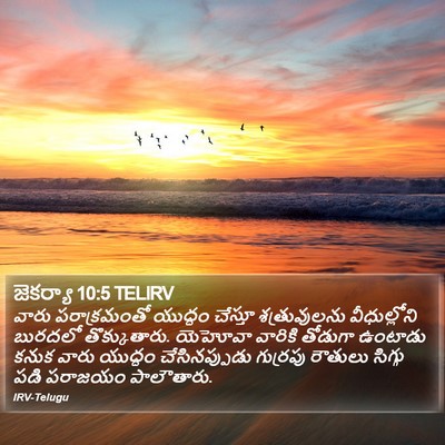 జెకర్యా 10:5 TELIRV Bible Verse Image