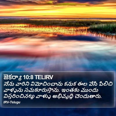 జెకర్యా 10:8 TELIRV Bible Verse Image