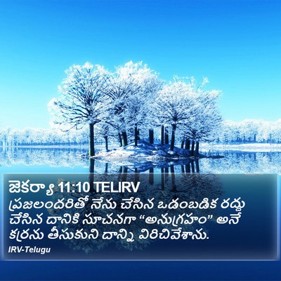 జెకర్యా 11:10 TELIRV Bible Verse Image