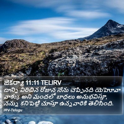 జెకర్యా 11:11 TELIRV Bible Verse Image