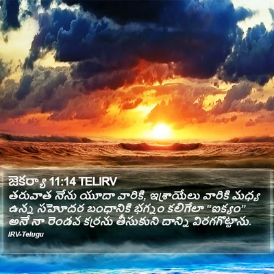 జెకర్యా 11:14 TELIRV Bible Verse Image