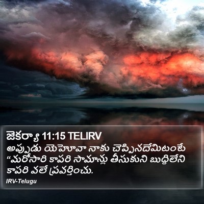 జెకర్యా 11:15 TELIRV Bible Verse Image