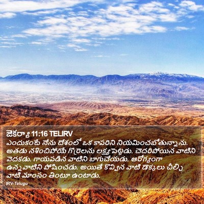 జెకర్యా 11:16 TELIRV Bible Verse Image