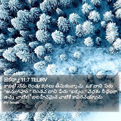 జెకర్యా 11:7 TELIRV Bible Verse Image
