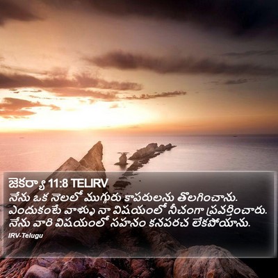 జెకర్యా 11:8 TELIRV Bible Verse Image