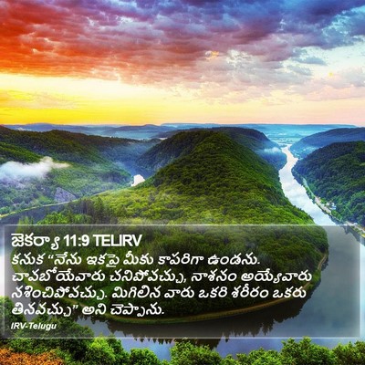 జెకర్యా 11:9 TELIRV Bible Verse Image