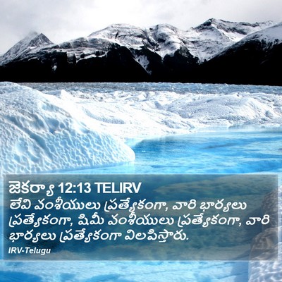 జెకర్యా 12:13 TELIRV Bible Verse Image