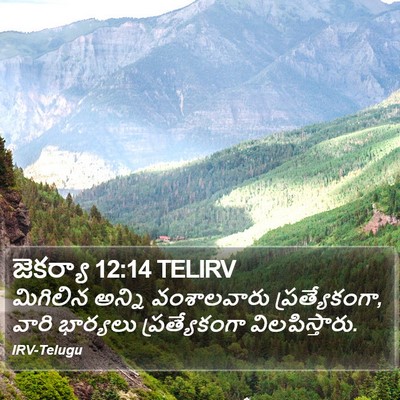 జెకర్యా 12:14 TELIRV Bible Verse Image