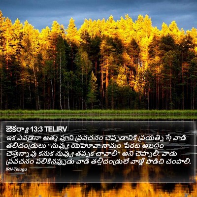 జెకర్యా 13:3 TELIRV Bible Verse Image