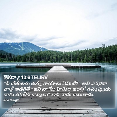 జెకర్యా 13:6 TELIRV Bible Verse Image
