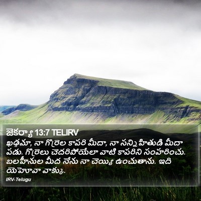 జెకర్యా 13:7 TELIRV Bible Verse Image