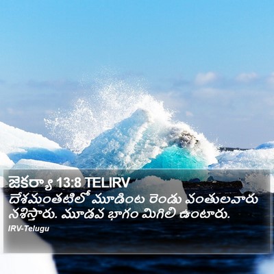 జెకర్యా 13:8 TELIRV Bible Verse Image