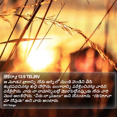 జెకర్యా 13:9 TELIRV Bible Verse Image