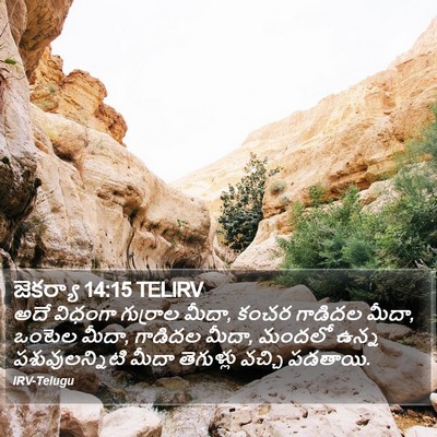 జెకర్యా 14:15 TELIRV Bible Verse Image