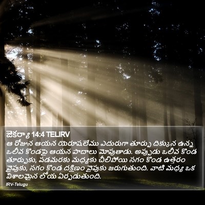 జెకర్యా 14:4 TELIRV Bible Verse Image