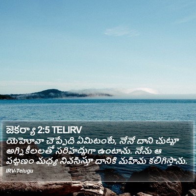 జెకర్యా 2:5 TELIRV Bible Verse Image