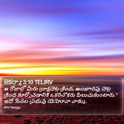 జెకర్యా 3:10 TELIRV Bible Verse Image