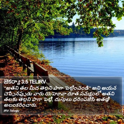 జెకర్యా 3:5 TELIRV Bible Verse Image