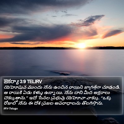 జెకర్యా 3:9 TELIRV Bible Verse Image