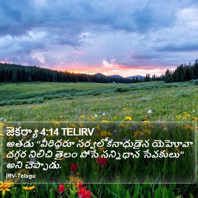 జెకర్యా 4:14 TELIRV Bible Verse Image