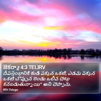 జెకర్యా 4:3 TELIRV Bible Verse Image