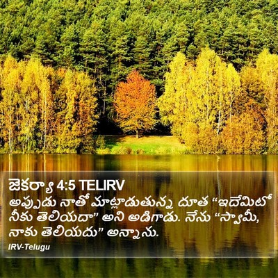 జెకర్యా 4:5 TELIRV Bible Verse Image