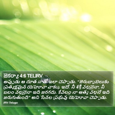జెకర్యా 4:6 TELIRV Bible Verse Image