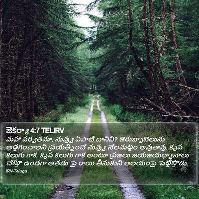 జెకర్యా 4:7 TELIRV Bible Verse Image